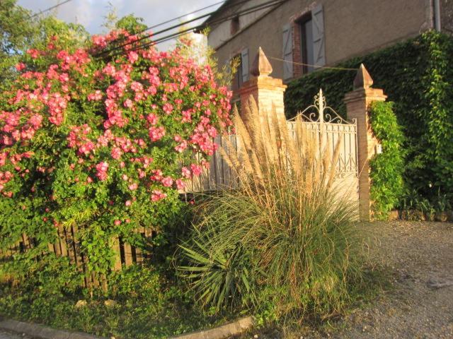Bed and Breakfast La Demeure De La Coste Vieux  Exterior foto